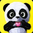 Daily Panda : virtual pet