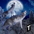 Angry Wolf Simulator 3D
